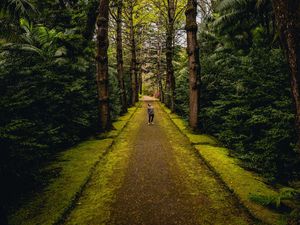 Preview wallpaper man, alone, forest, path, walk