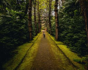 Preview wallpaper man, alone, forest, path, walk