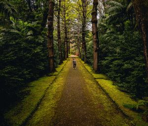 Preview wallpaper man, alone, forest, path, walk