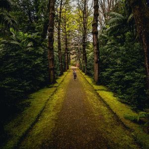 Preview wallpaper man, alone, forest, path, walk