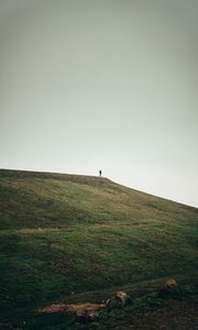 Preview wallpaper man, alone, hill, field, nature