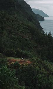 Preview wallpaper man, alone, island, forest
