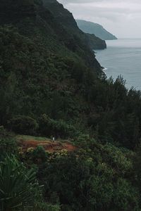 Preview wallpaper man, alone, island, forest