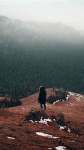 Preview wallpaper man, alone, mountains, forest, nature