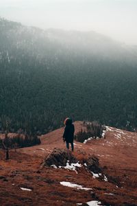 Preview wallpaper man, alone, mountains, forest, nature