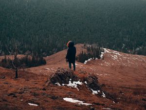 Preview wallpaper man, alone, mountains, forest, nature