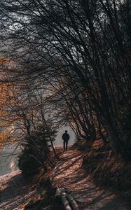 Preview wallpaper man, alone, trees, river, autumn, free