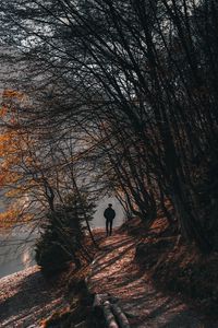 Preview wallpaper man, alone, trees, river, autumn, free