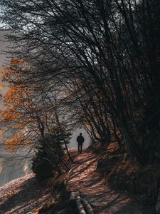 Preview wallpaper man, alone, trees, river, autumn, free