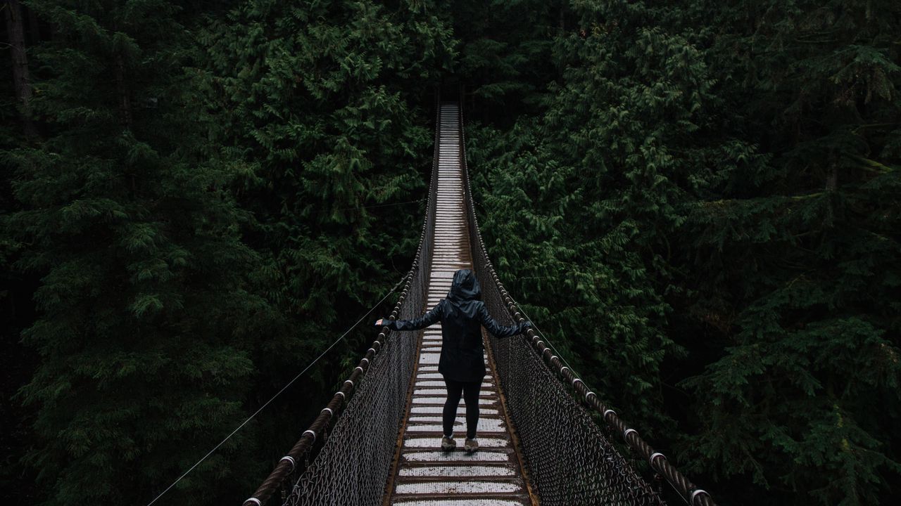 Wallpaper man, bridge, hanging