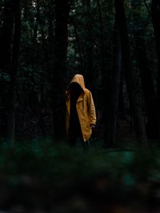 Preview wallpaper man, cloak, yellow, trees, forest