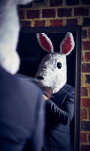 Preview wallpaper man, costume, mask, rabbit