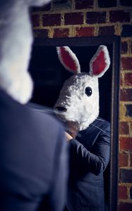 Preview wallpaper man, costume, mask, rabbit