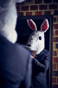 Preview wallpaper man, costume, mask, rabbit