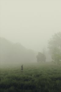 Preview wallpaper man, cube, fog, meadow, art