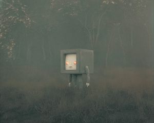 Preview wallpaper man, cube, grass, fog, art