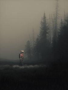 Preview wallpaper man, cube, meadow, fog, art