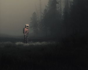 Preview wallpaper man, cube, meadow, fog, art