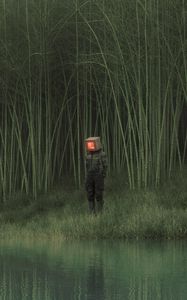 Preview wallpaper man, cube, reeds, pond, grass, art