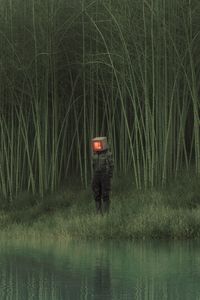 Preview wallpaper man, cube, reeds, pond, grass, art
