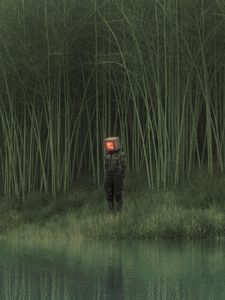 Preview wallpaper man, cube, reeds, pond, grass, art