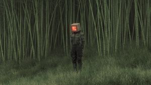 Preview wallpaper man, cube, reeds, pond, grass, art