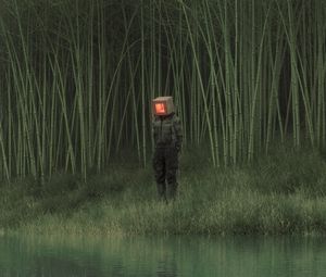 Preview wallpaper man, cube, reeds, pond, grass, art