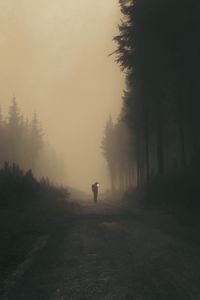 Preview wallpaper man, cube, road, forest, art, fog