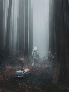 Preview wallpaper man, cube, robot, forest, fog, fantasy, art