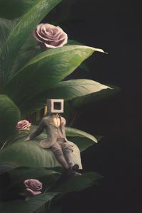 Preview wallpaper man, cube, roses, leaves, fantasy, art