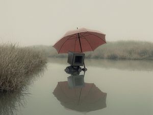 Preview wallpaper man, cube, umbrella, swamp, art