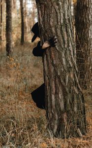 Preview wallpaper man, demon, hat, tree, forest