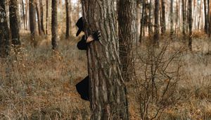 Preview wallpaper man, demon, hat, tree, forest