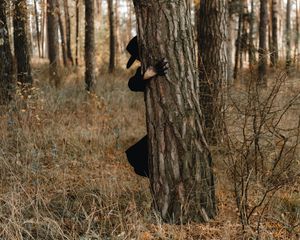 Preview wallpaper man, demon, hat, tree, forest