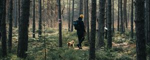 Preview wallpaper man, dog, forest, walk, trees, nature