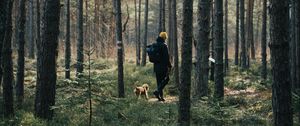 Preview wallpaper man, dog, forest, walk, trees, nature