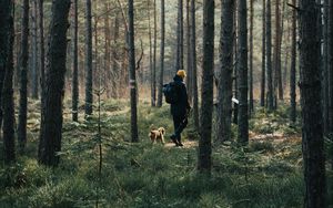 Preview wallpaper man, dog, forest, walk, trees, nature