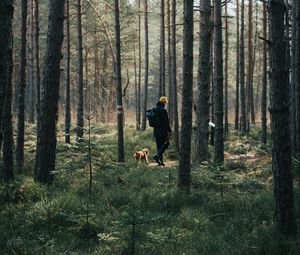 Preview wallpaper man, dog, forest, walk, trees, nature