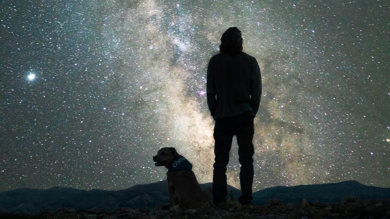 Wallpaper man, dog, night, starry sky, nebula