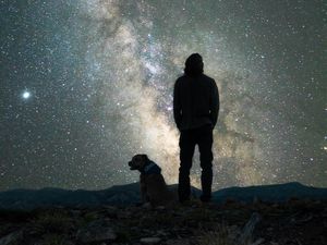 Preview wallpaper man, dog, night, starry sky, nebula