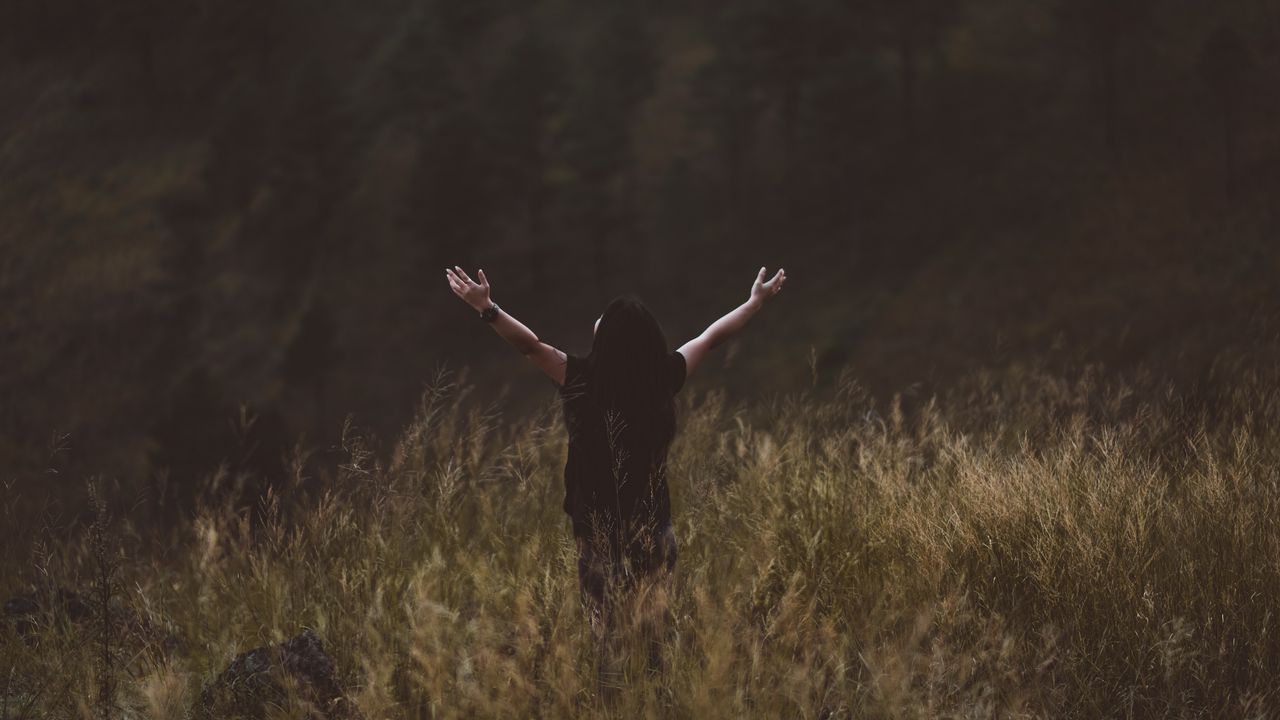 Wallpaper man, field, grass, loneliness