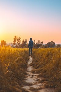 Preview wallpaper man, field, path, grass, rabat, morocco