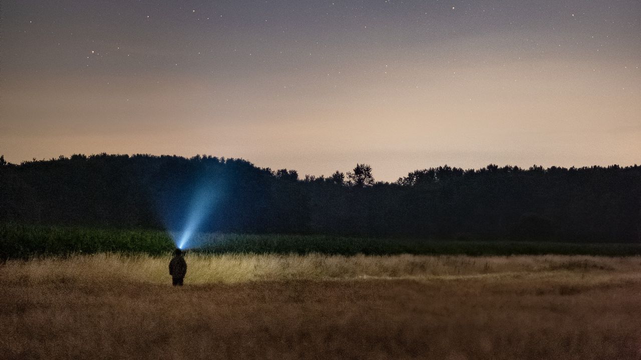 Wallpaper man, field, starfall, night, flashlight