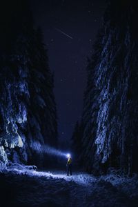 Preview wallpaper man, flashlight, night, forest, snow, dark