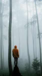 Preview wallpaper man, fog, loneliness, forest, trees