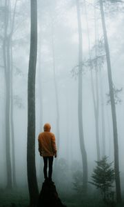 Preview wallpaper man, fog, loneliness, forest, trees