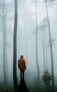 Preview wallpaper man, fog, loneliness, forest, trees