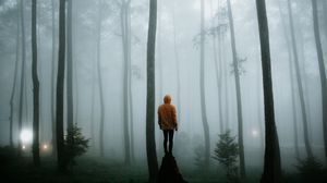 Preview wallpaper man, fog, loneliness, forest, trees