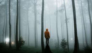 Preview wallpaper man, fog, loneliness, forest, trees