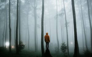 Preview wallpaper man, fog, loneliness, forest, trees